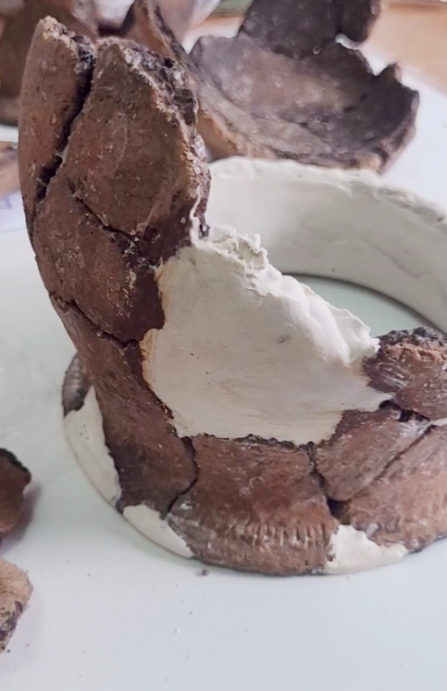 ����� �������� ����������